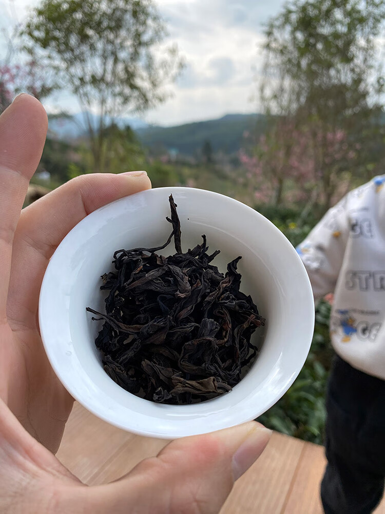 5折正岩肉桂燕子窠大红袍茶叶乌龙茶浓香型礼盒装小包装500g500g