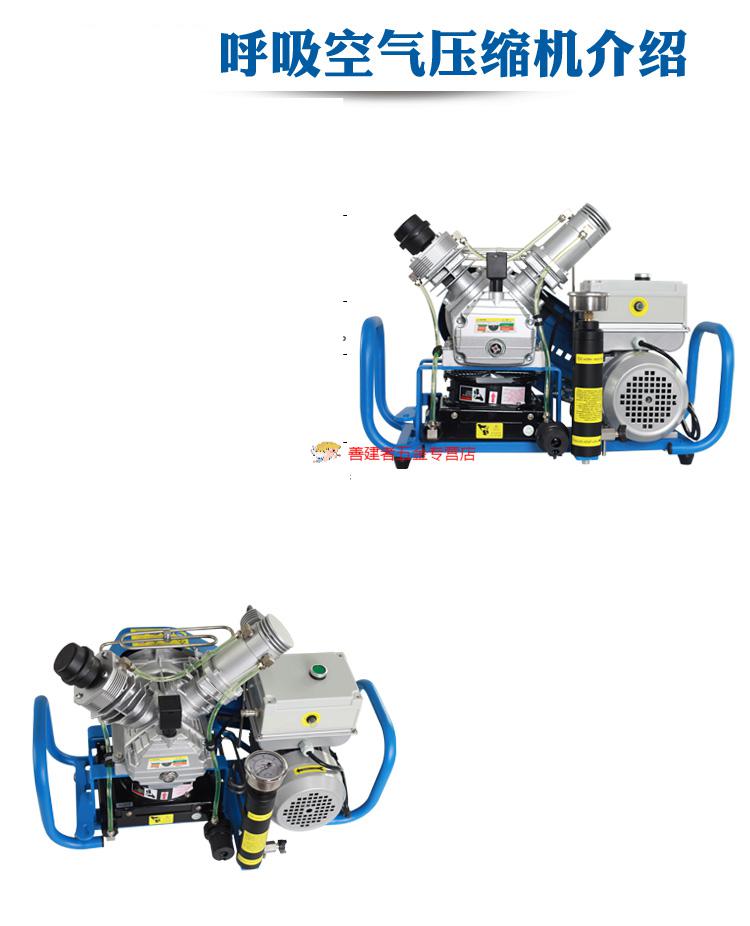 潜水气瓶消防空气呼吸器充气泵30mpa高压呼吸空气压缩机电打气机 精英