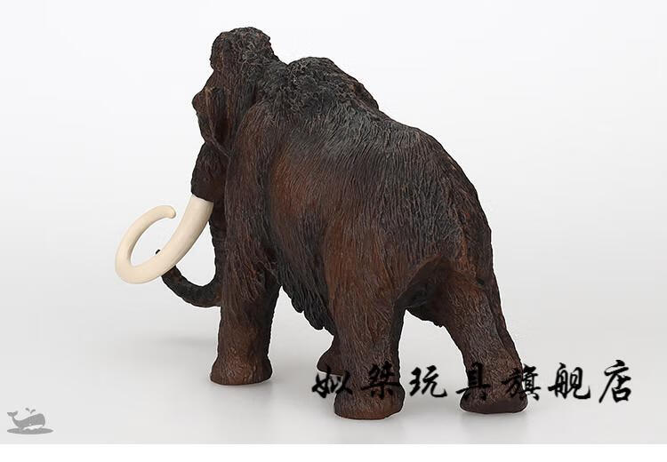儿童仿真远古冰河时期动物玩具模型剑齿虎猛犸象巨齿鲨邓氏鱼 邓氏鱼