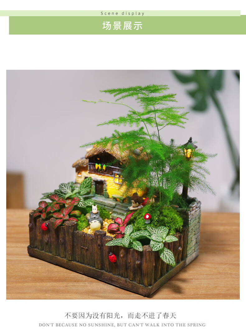 微景观植物创意盆栽苔藓植物盆景diy迷你盆栽绿植微景观摆件 托卡斯纳
