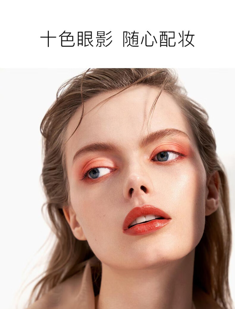 卡姿兰（Carslan） 十色眼影盘大地色懒人闪粉哑光眼影盒裸妆新手初学者网红款珠光学生平价礼物女 01日落暖茶色