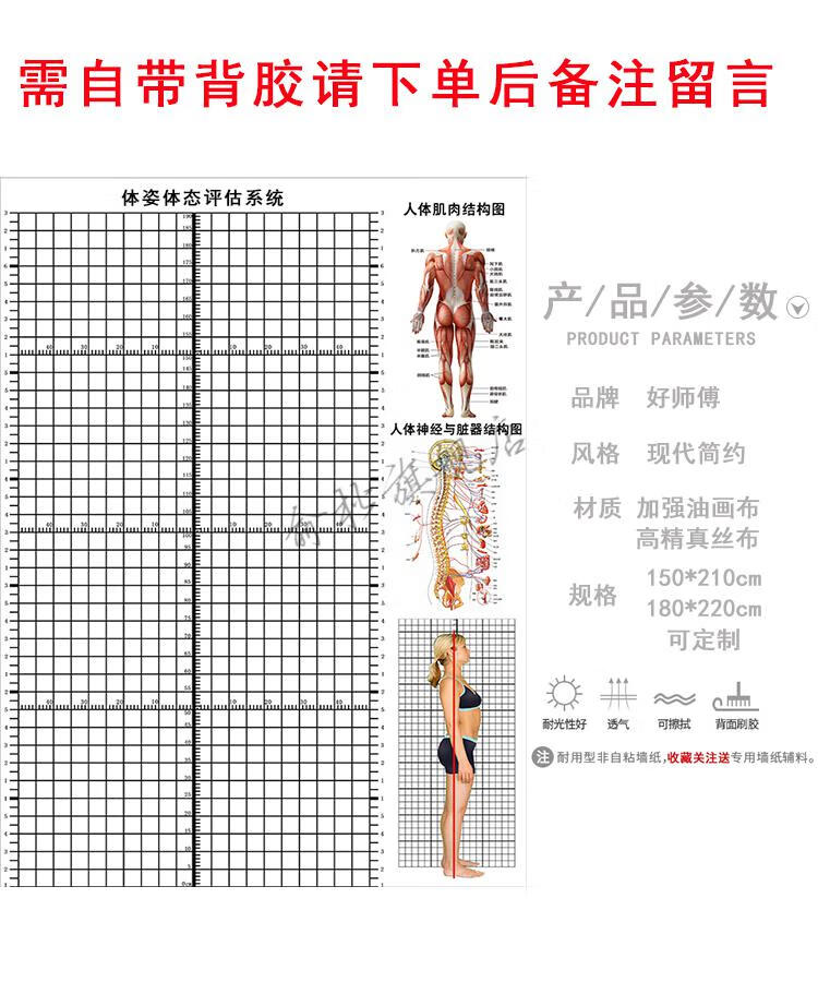 体态评估网格图体态评估表挂式贴式体测健身房瑜伽馆私教身高臂展网格