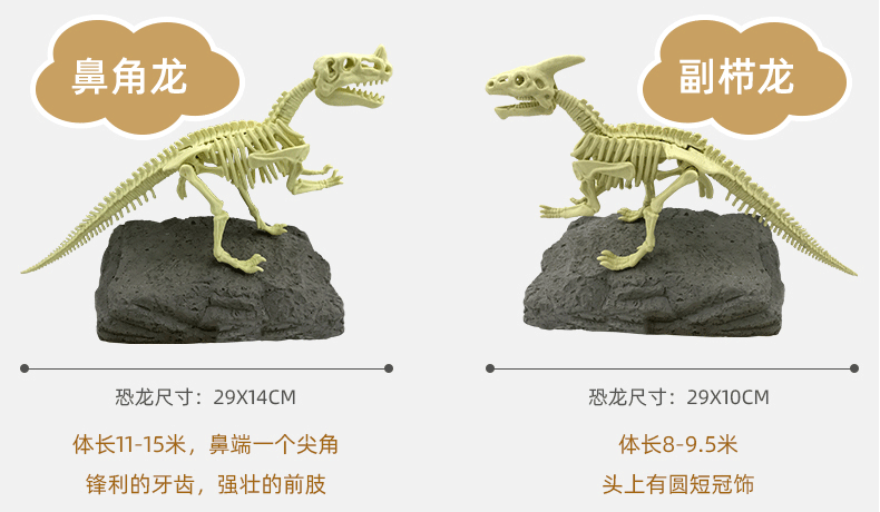 恐龙化石考古挖掘 骨架拼搭子儿童手工diy霸王龙霸王龙男孩玩具 副栉