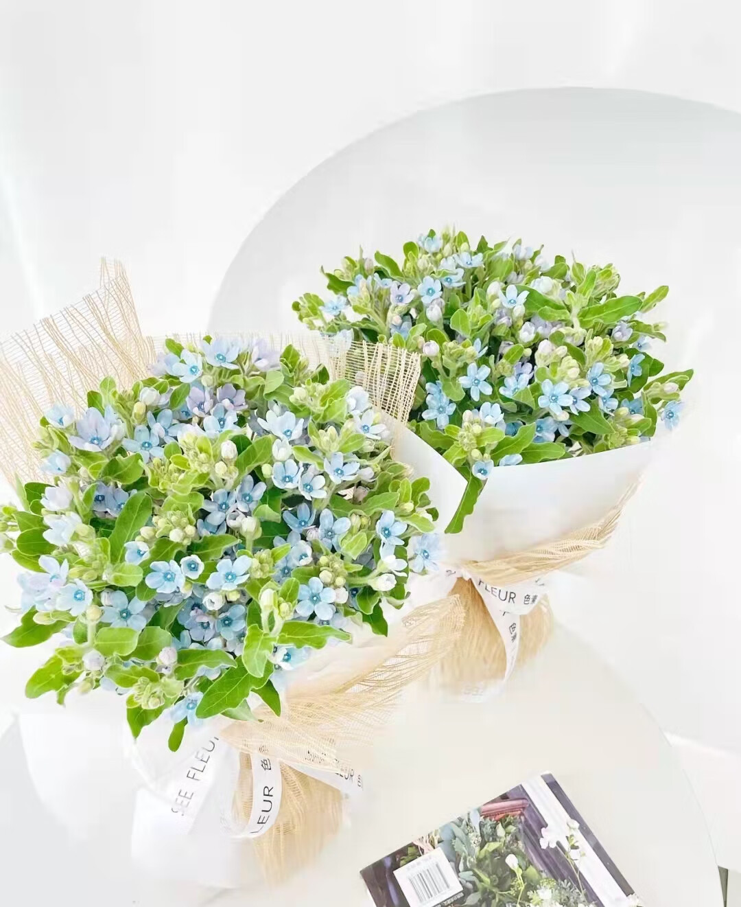 翠珠鲜花家庭插花小清新配花蓝星花香雪兰家庭插花切花