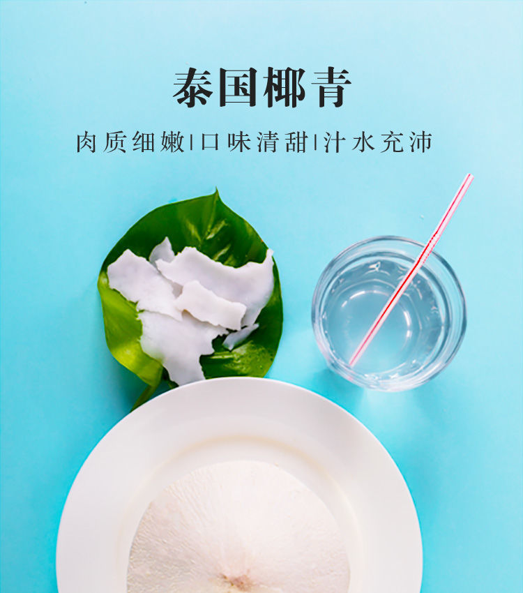 新鲜棷子批发迪士尼泰国奶香椰青9粒椰宝椰子果椰肉 开椰器吸管