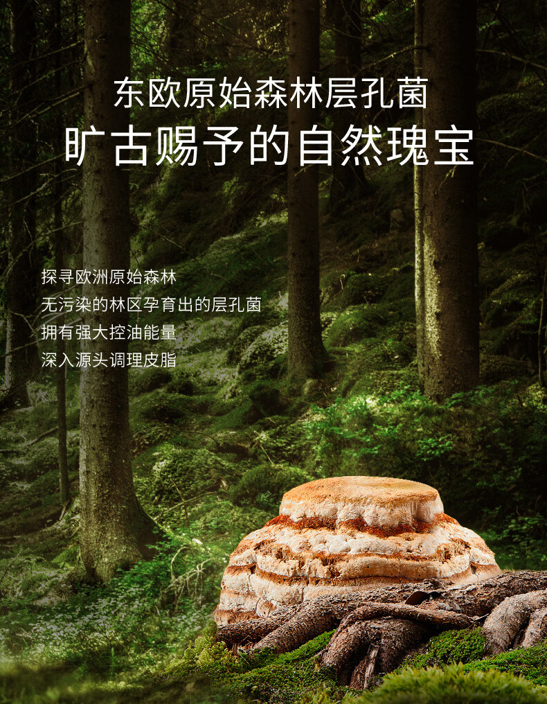 溪木源层孔菌控油安护精华水舒缓敏感感肌补水保湿男女爽肤水 120ml