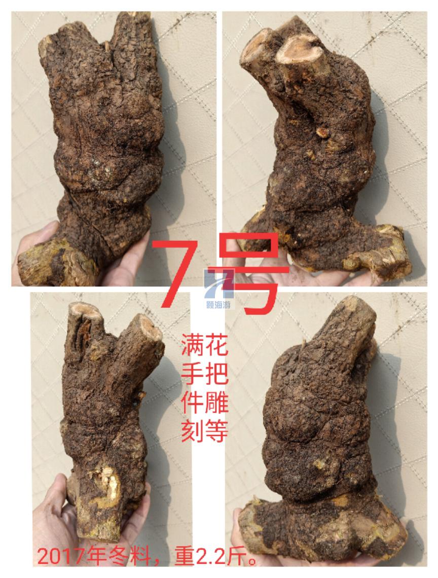 麻梨疙瘩原料弹弓把件烟斗雕刻摆件鱼缸沉木料根雕毛料木料木头 20号