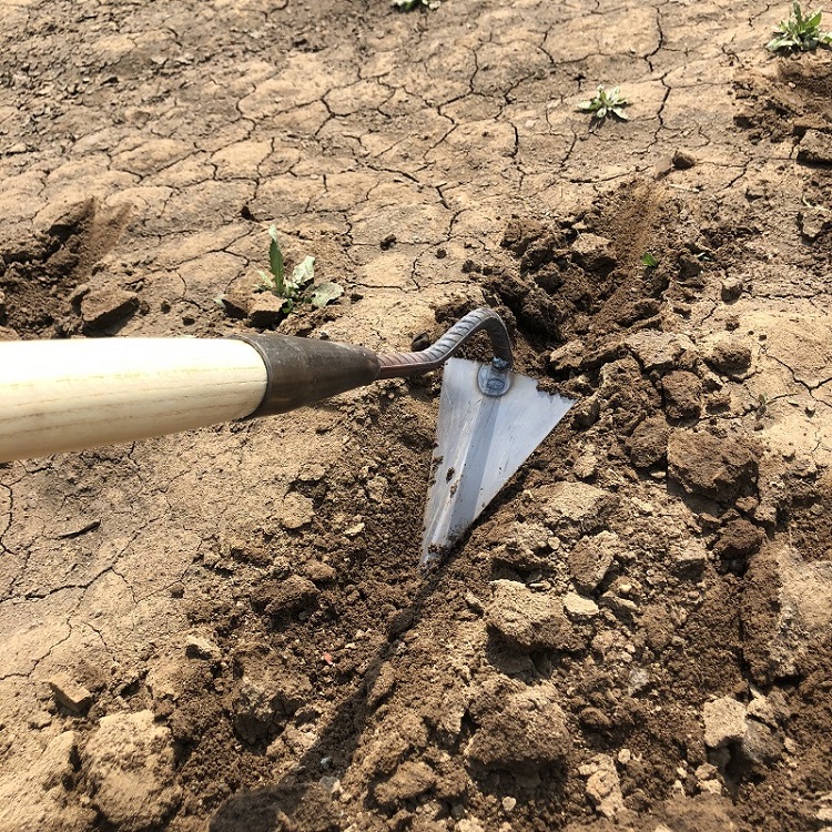 起垄锄搂沟锄开沟器松土尖头锄种菜尖嘴锄苗肥农具开沟铲 小号起垄锄