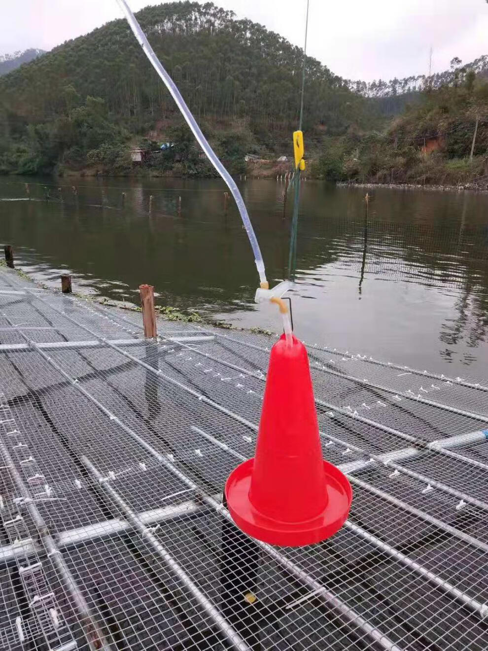 家禽新款鸡鸭夹开关水位控制器鸡自动饮水器养殖水壶养鸡设备用品 中