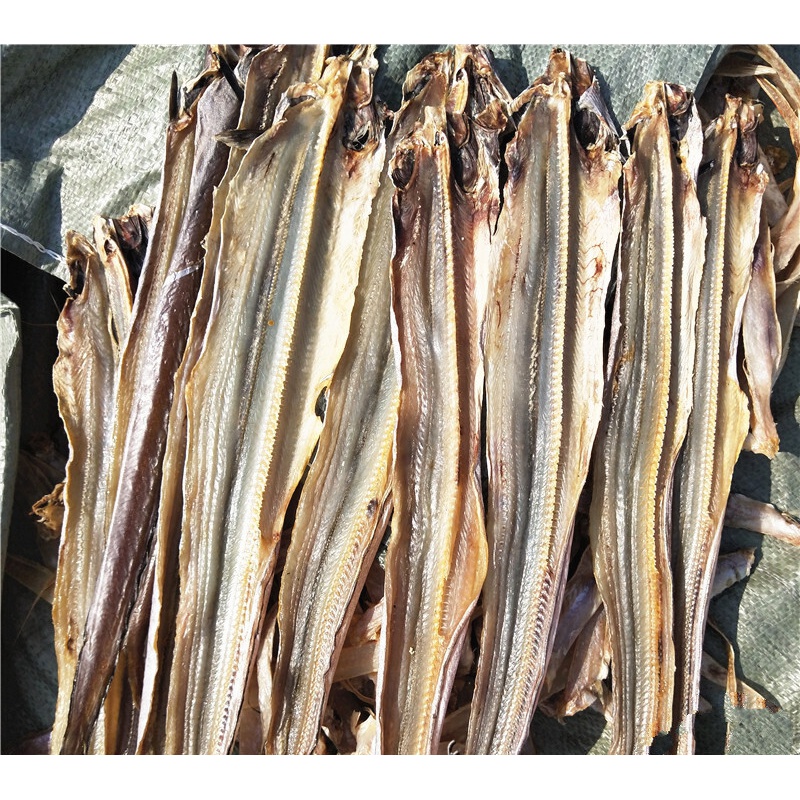 北海特产自晒生淡干小海鳗鱼鳗鱼干鳝鱼干海鱼干货500