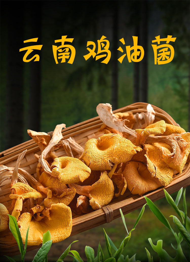 野生鸡油菌菇干货黄金菇香菇批发云南特产营养蘑菇煲汤羊肚菌汤精选