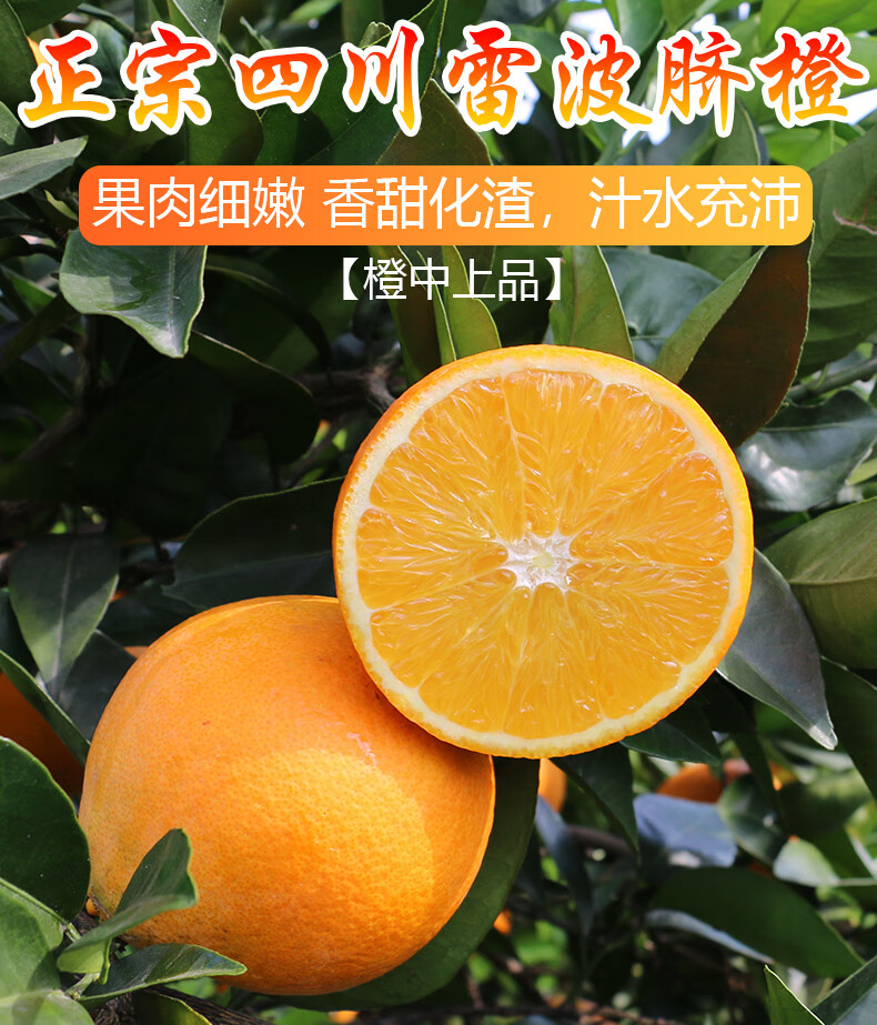 四川雷波脐橙橙子新鲜10斤大果当季水果整箱冰糖甜橙5果冻橙19斤礼盒