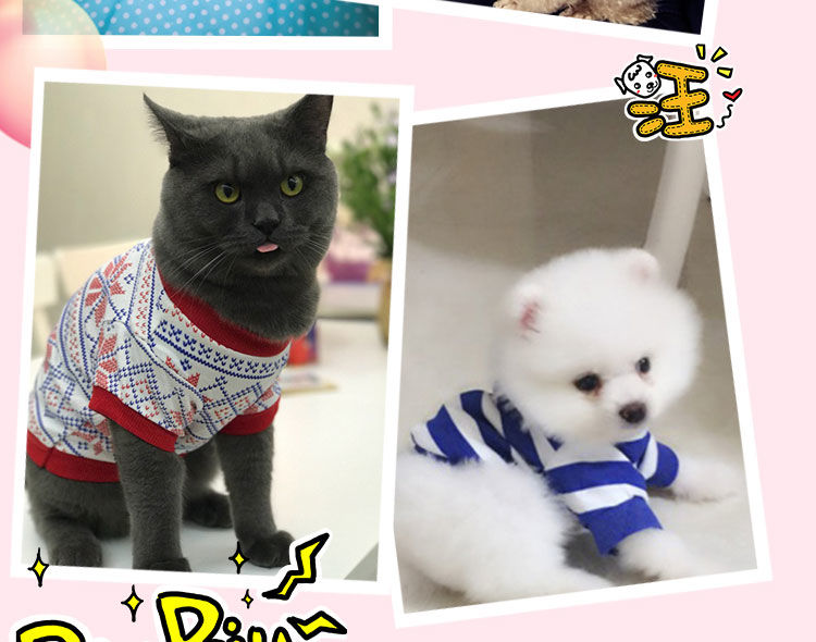 q狗衣服中小型犬泰迪两脚衣幼犬小奶狗博美猫咪宠物装春秋短袖偏厚卡