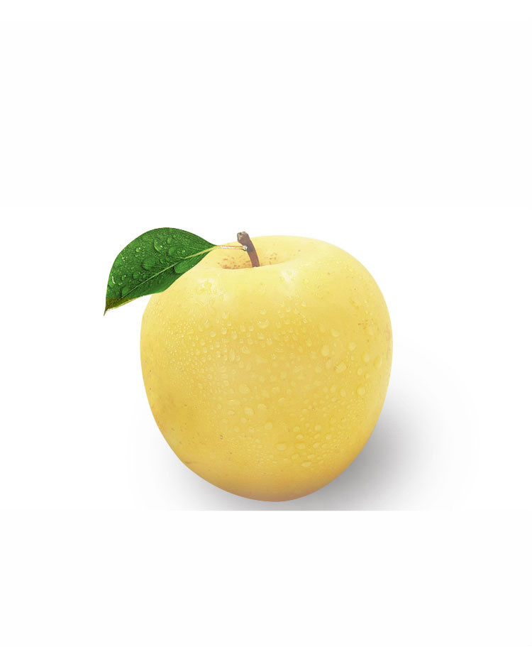 【果园现摘】陕西白水瑞雪苹果当季现摘新鲜水果黄皮苹果粉面苹果老人