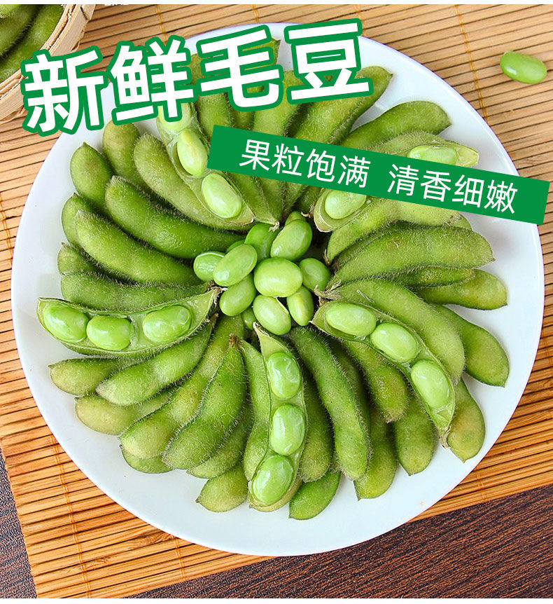 四川新鲜毛豆农家带壳生毛豆角现摘青大豆当季蔬菜颗粒饱满新鲜毛豆3