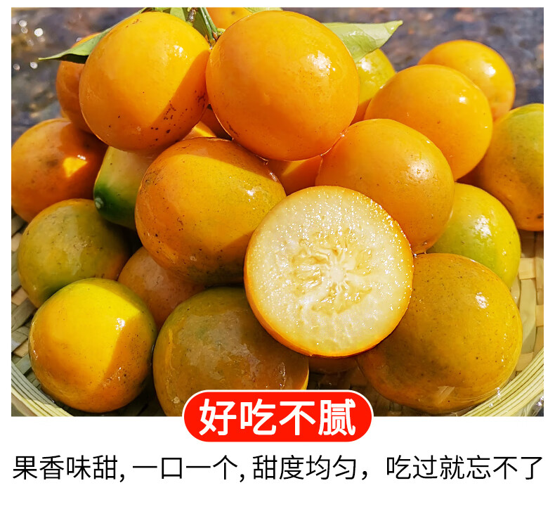 脆蜜金桔 云南金桔糖心滑皮脆皮金桔大果金橘子纯甜小金桔3/5斤新鲜