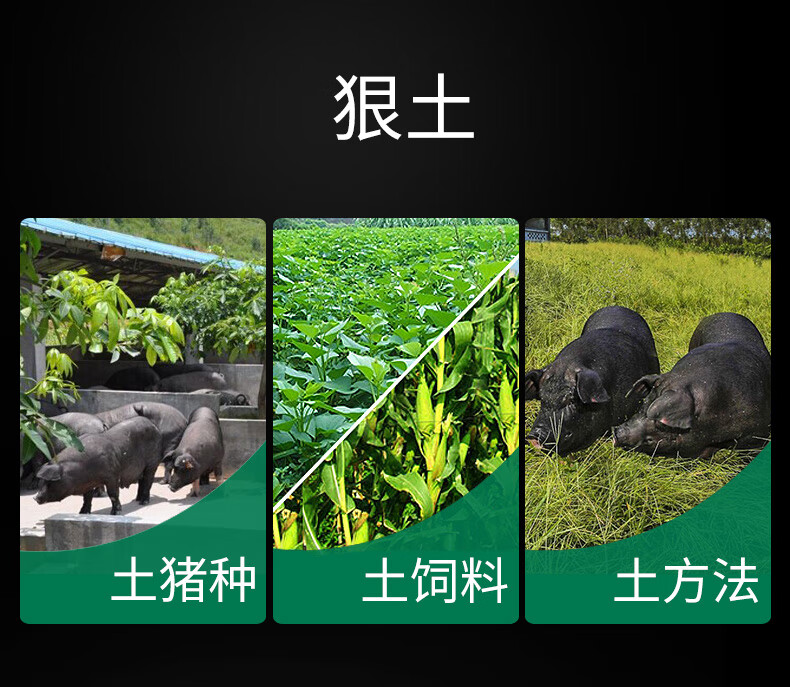 壹号土猪小排骨新鲜冷冻500g猪肋排带软骨一号土猪肉
