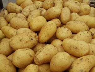 农家自种土豆新鲜10斤蔬菜现挖黄心新土豆红皮马铃薯洋芋 4500g