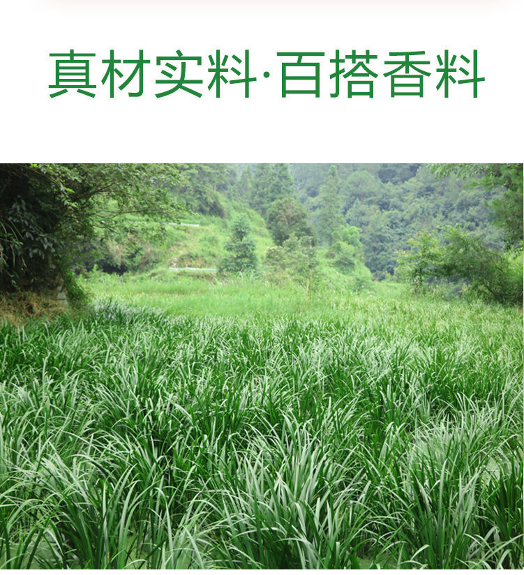 贵州特产山奈新鲜五香草纯根茴香菖蒲随手香三奈山赖去腥香料带根新鲜