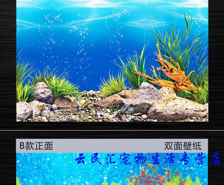 鱼缸背景纸画高清图3d立体鱼缸背景画双面水族箱装饰鱼缸贴纸 壁纸_高