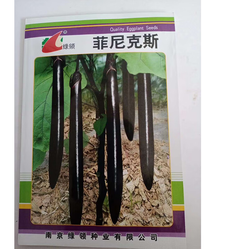 苏瑞 茄子种子圆茄子紫红色茄子种孑椭圆形大果茄子种籽 珍亮圆茄