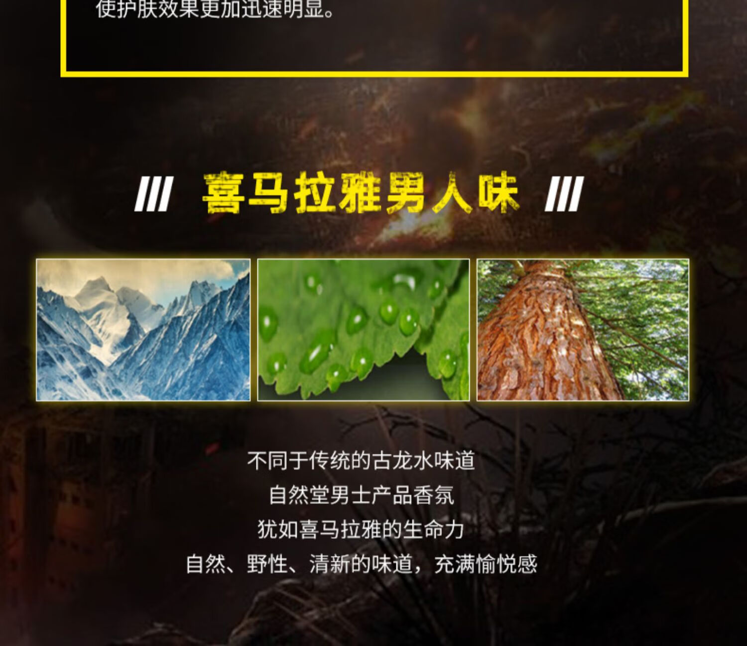 自然堂 喜马拉雅男士护肤品套装补水保湿清爽控油洗面奶水乳套装礼盒装 龙血套装（洁面+水+润肤露）