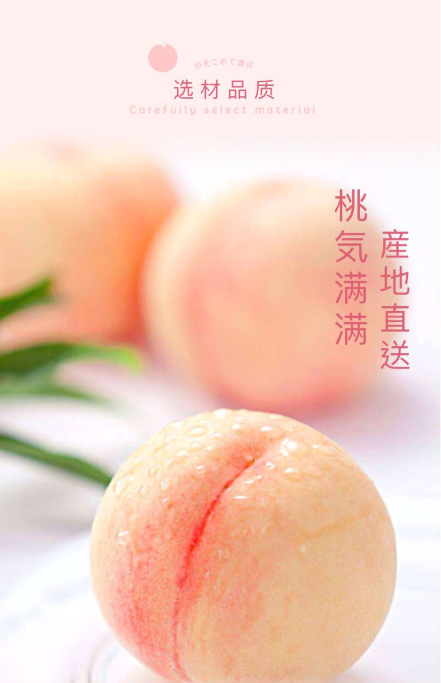 红高颜值果汁果冻布丁零食批发 草莓味【图片 价格 品牌 报价】-京东