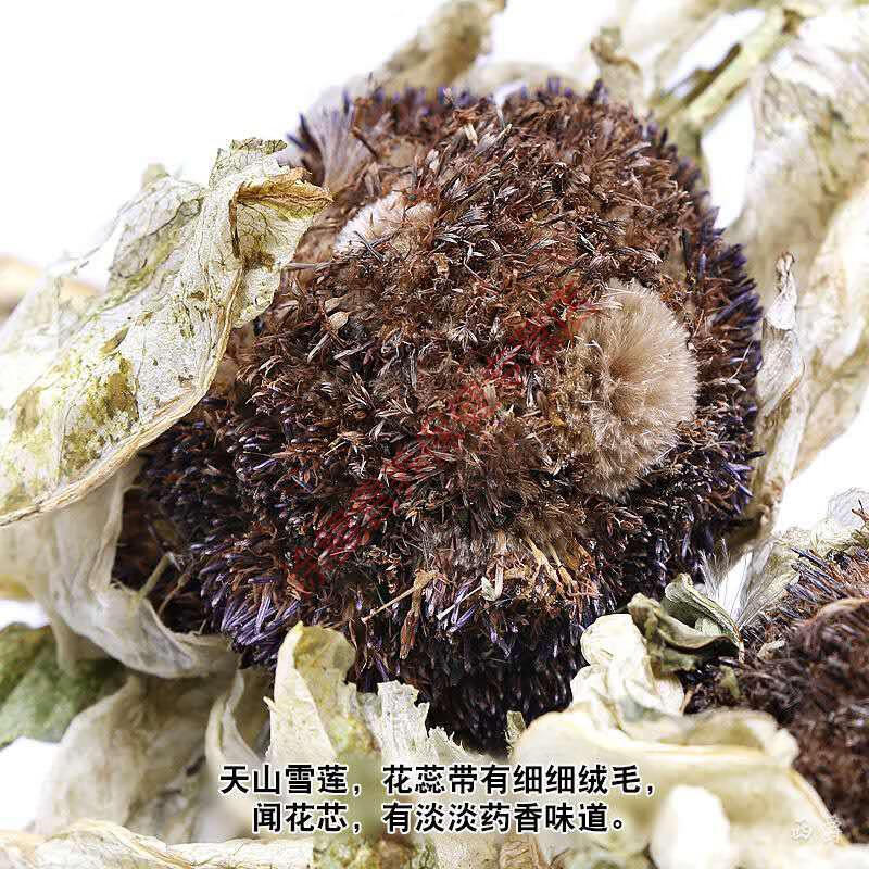 杞里香 新疆天山雪莲花大雪莲干花单朵40克以上
