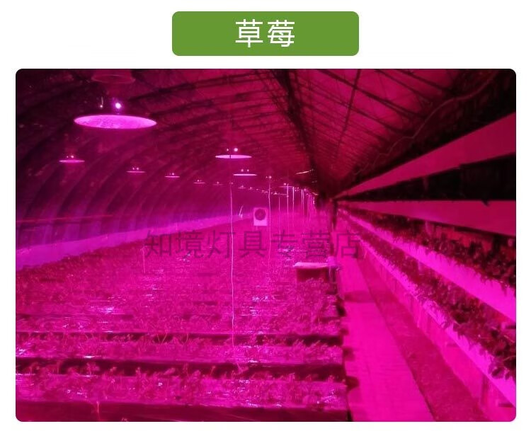 全光谱led植物生长灯温室大棚草莓黄瓜蔬菜菜椒西红柿菊花补光灯50w3
