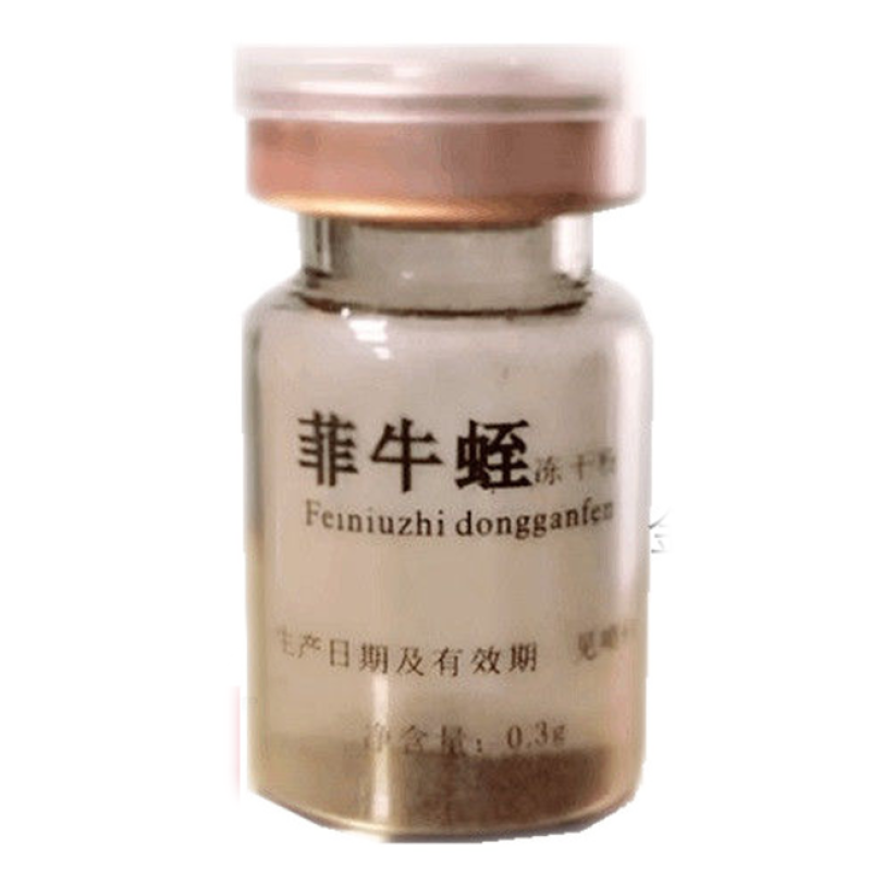 菲牛蛭冻干粉 天然水蛭素菲牛蛭冻干粉蚂蟥唾液提取物