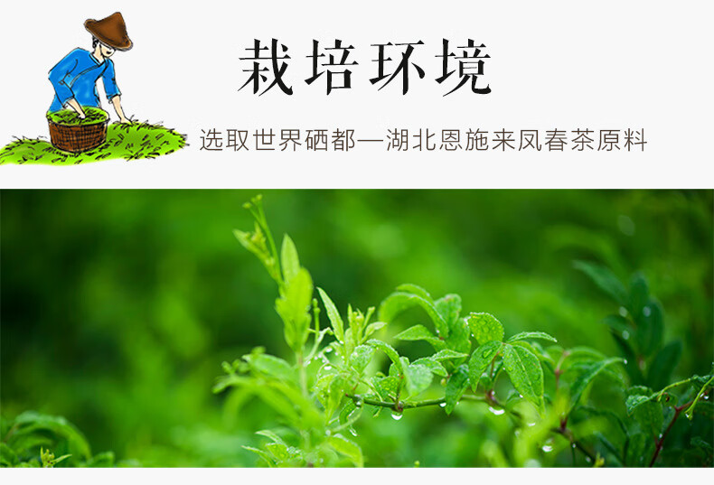 先疯农人藤茶硒都富硒藤茶龙须藤茶恩施嫩芽养生茶莓茶霉茶叶富硒养生