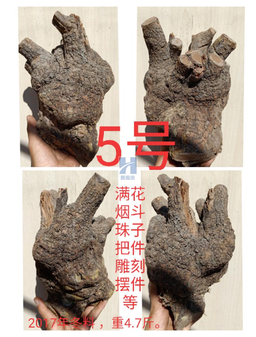 麻梨疙瘩原料弹弓把件烟斗雕刻摆件鱼缸沉木料根雕毛料木料木头 20号