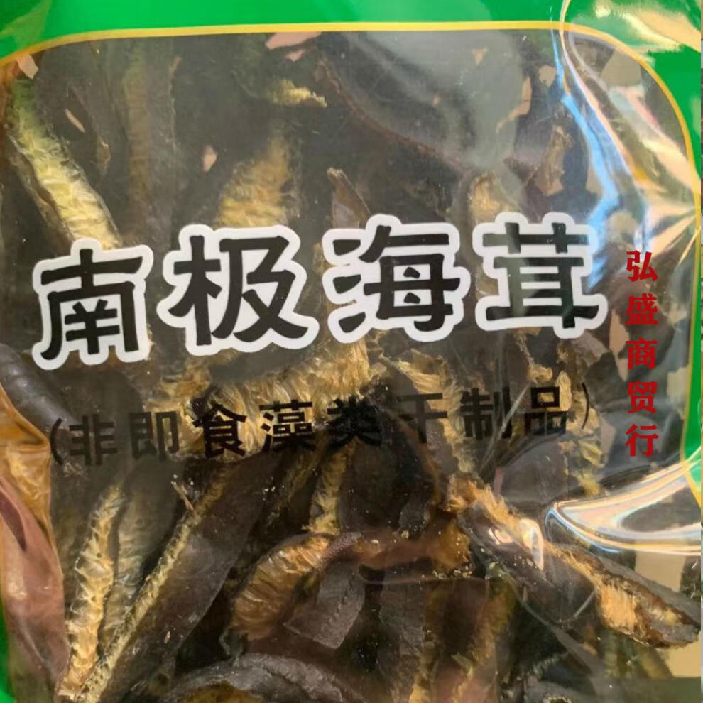 五折 统力海笋干/南极海茸 60g/包 海藻 冰笋 素食 藻类制品 海笋60g