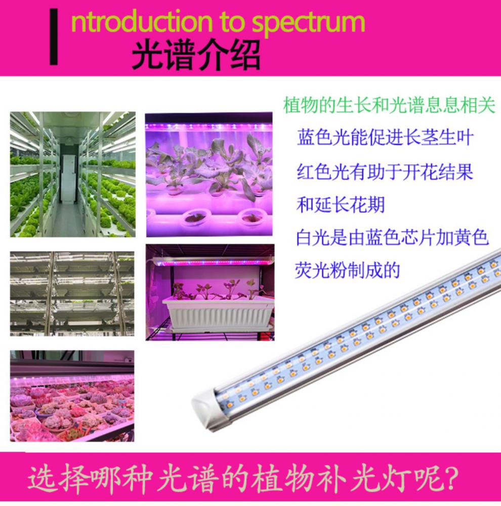 灯饰照明 led灯源 煊缤 植物补光灯 植物生长灯 植物生长灯全光谱红蓝