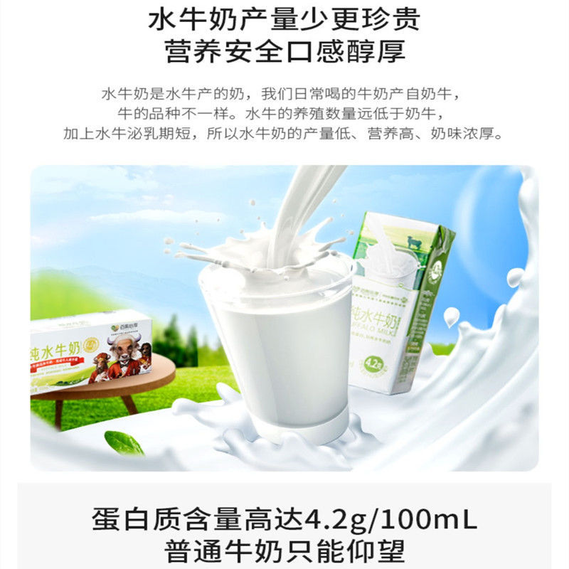 熊猫大鲜水牛奶百果园水牛奶白果心享纯牛奶线下同款整箱早餐甜奶