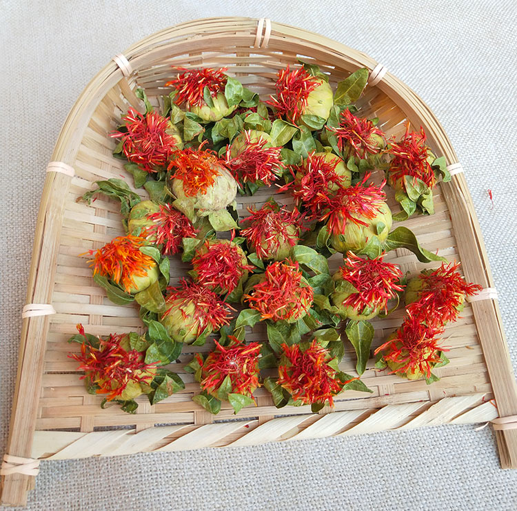 西藏藏红花红花果泡水特级花茶红花头茶整朵500克