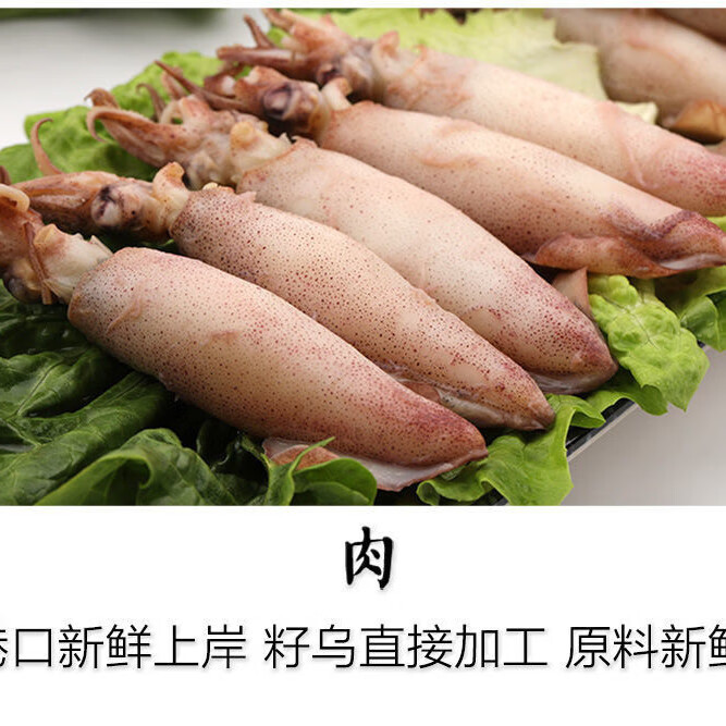 顺丰直达海兔满籽大小墨鱼仔海鲜水产鲜活冷冻笔管鱼一盒2斤左右28只