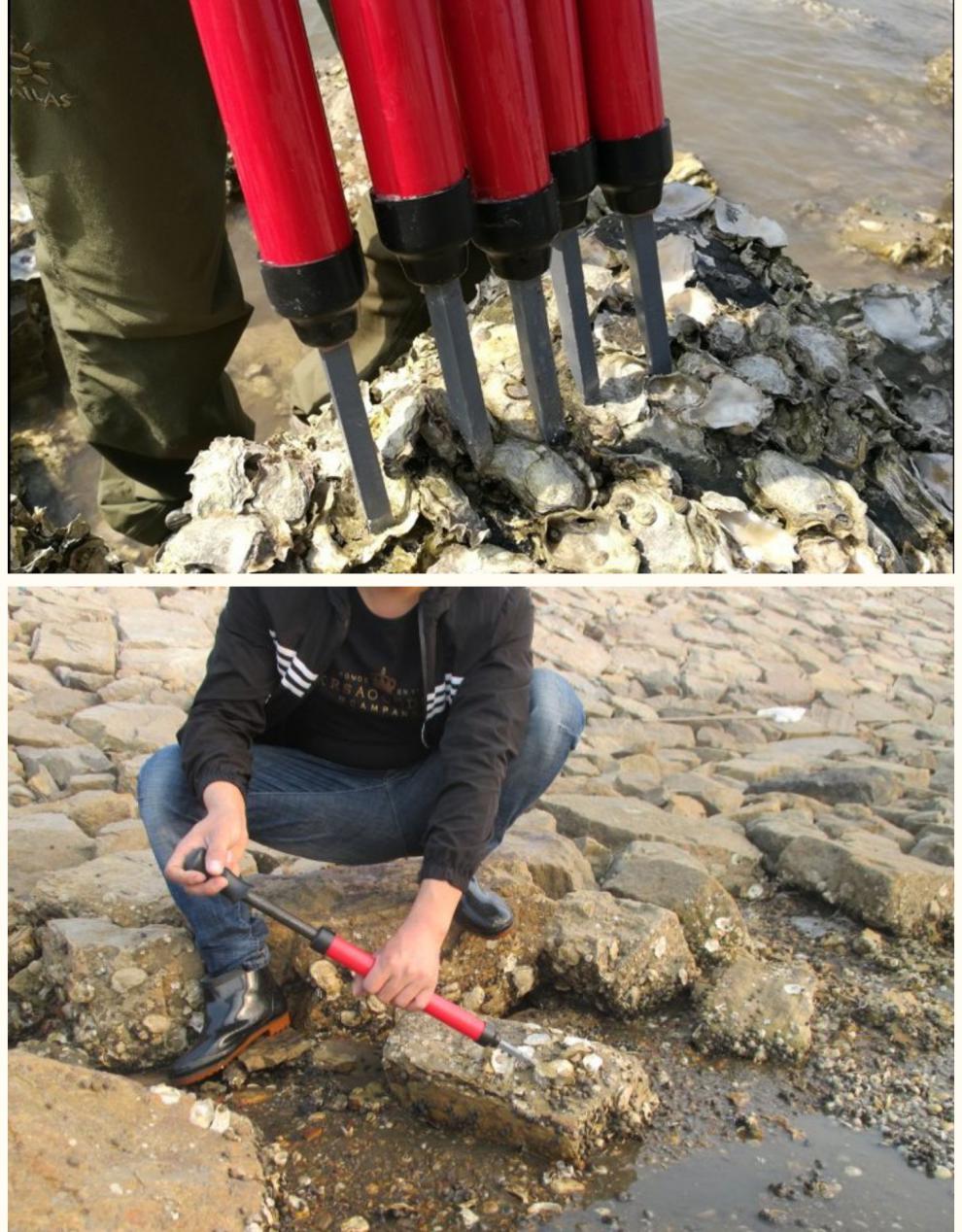 以琛 赶海器不锈钢工具海边沙滩耙子拾贝蛤蜊挖牡蛎海蟹钩挖蛏子 出口