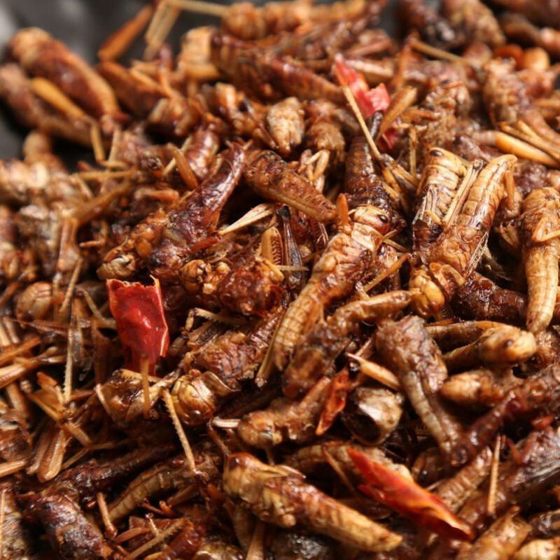 即食去翅蚂蚱油炸蚂蚱下酒零食酒肴蚂蚱香辣蚂蚱即食蝗虫一袋尝鲜100g
