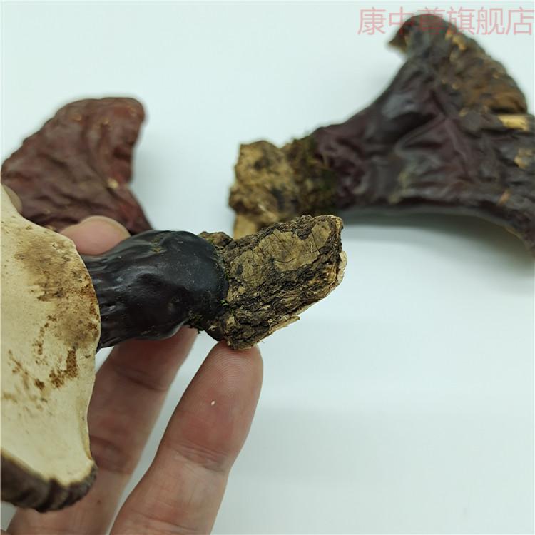 康中尊东北林下仿野生灵芝白肉灵芝不苦长白山松杉灵芝白心赤芝250g