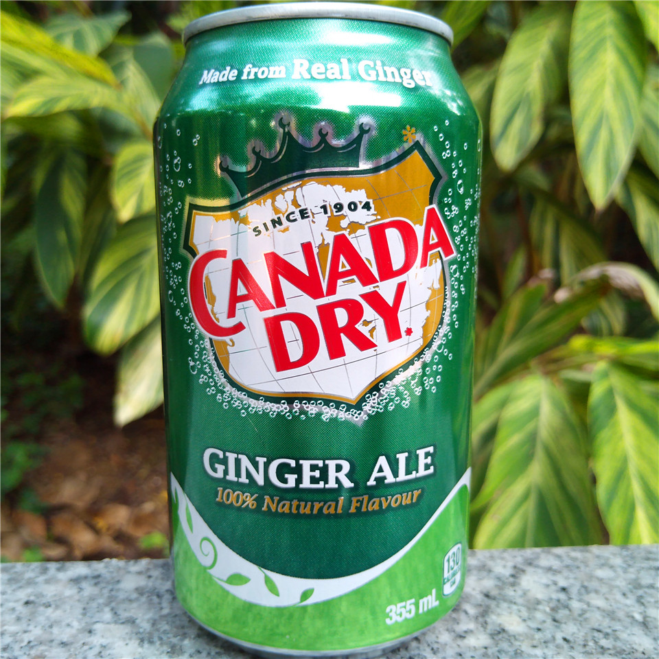 加拿大干姜水汽水canada dry soda gingembre ginger