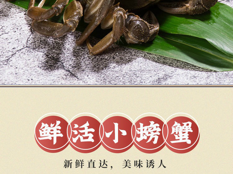 现货鲜活小螃蟹活的一元蟹两元蟹母蟹毛蟹大闸蟹河蟹母包赔欧登城娜