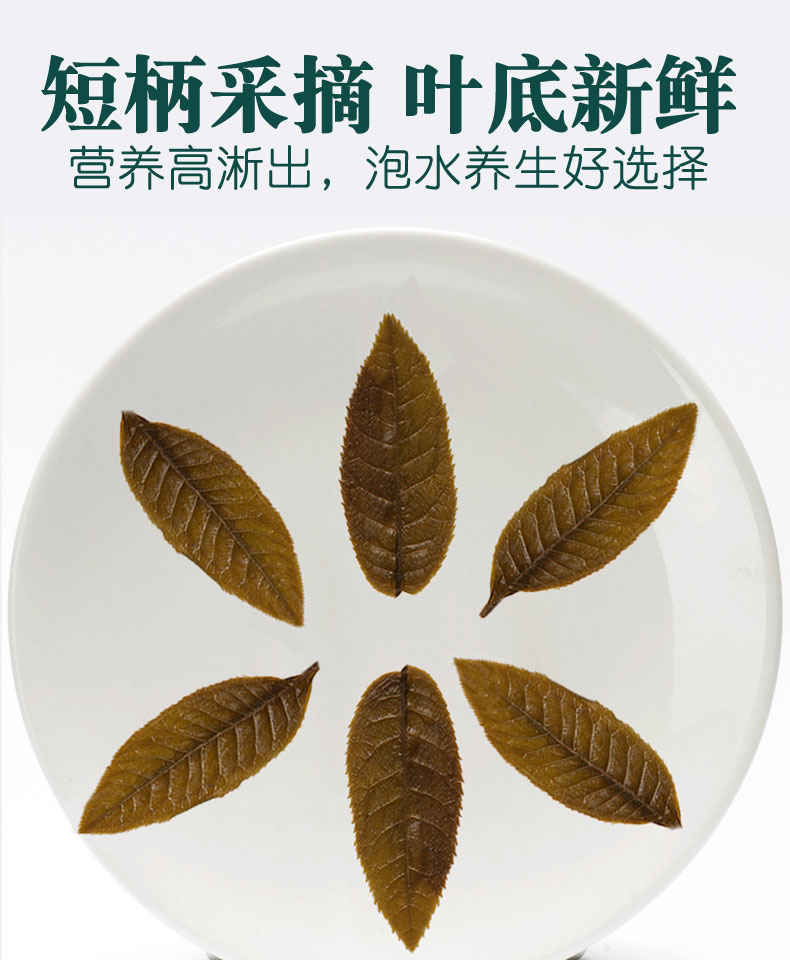12青钱柳茶神茶原叶中药材特级可搭牛蒡桑叶玉米须