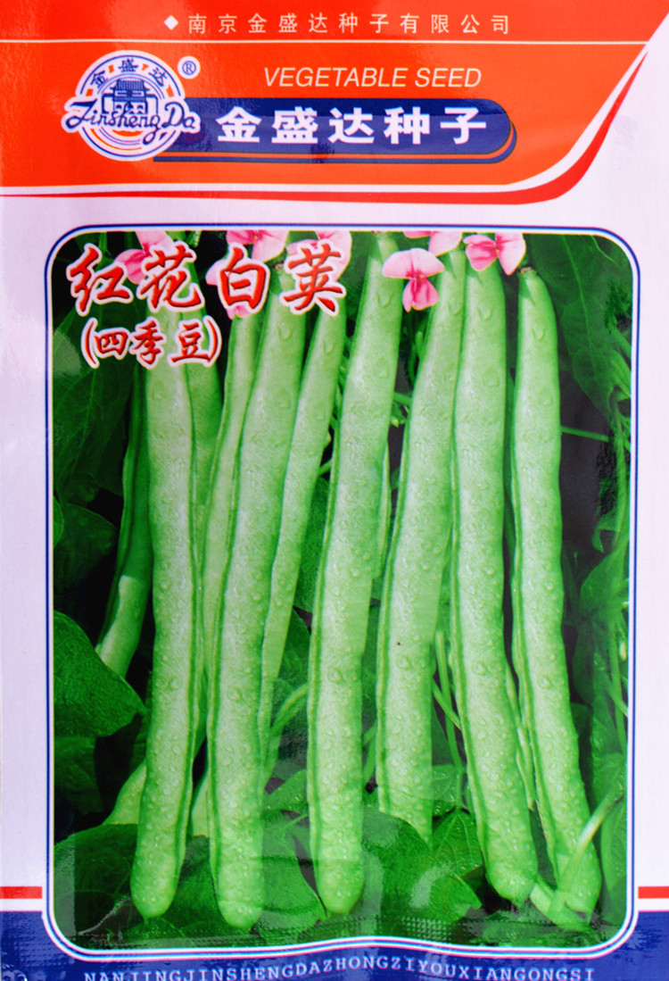 红花白荚四季豆种子蔬菜种籽高产早熟春秋季播家庭基地芸豆角种孑九粒