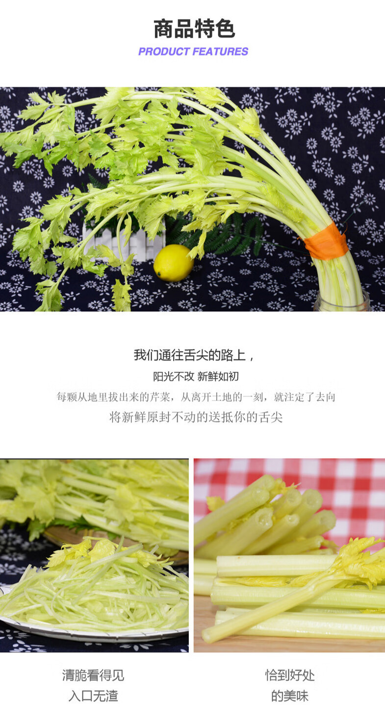 马家沟芹菜新鲜蔬菜大叶黄芹菜嫩芯4斤芹菜山东青岛平度西芹 1500g