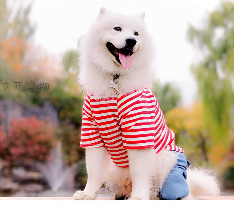 狗狗衣服中大型犬夏装四脚衣大狗金毛萨摩耶拉布拉多衣服夏季薄款