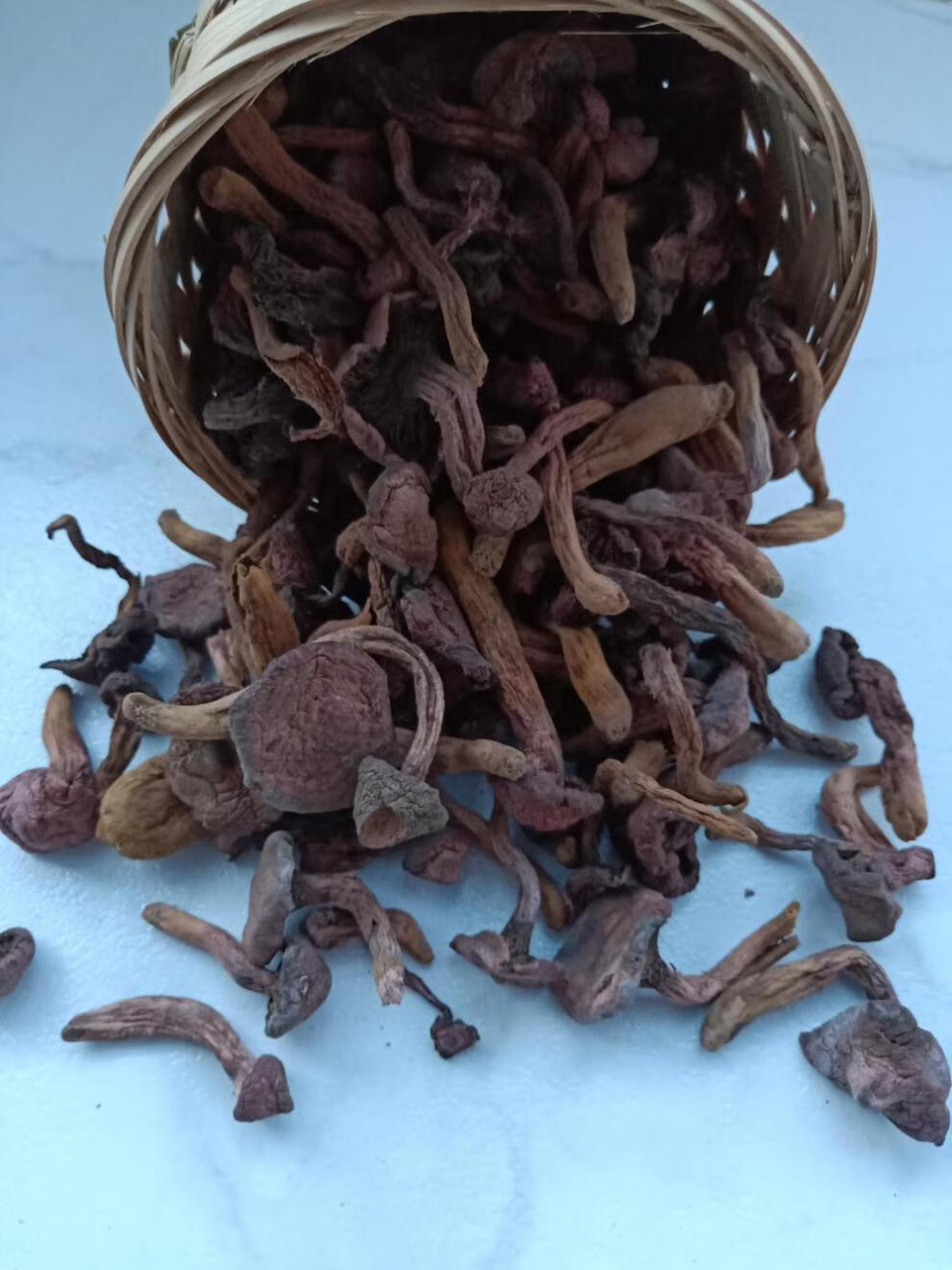 东北特产红蘑长白山纯红松伞菇新货菌菇干货松树蘑菇钉一件500克一斤