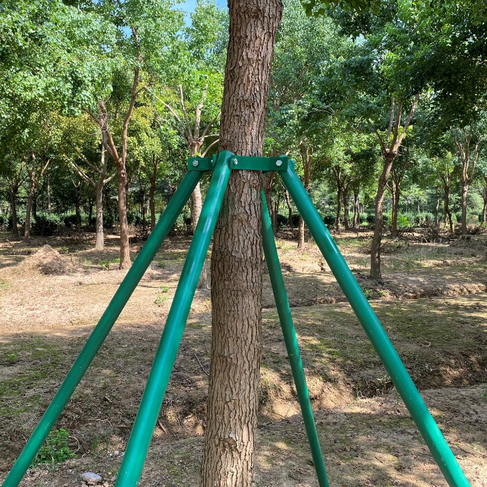 镀锌钢管树木支撑架 金属铁抱箍固定器 园林绿化防风大树撑杆 4.