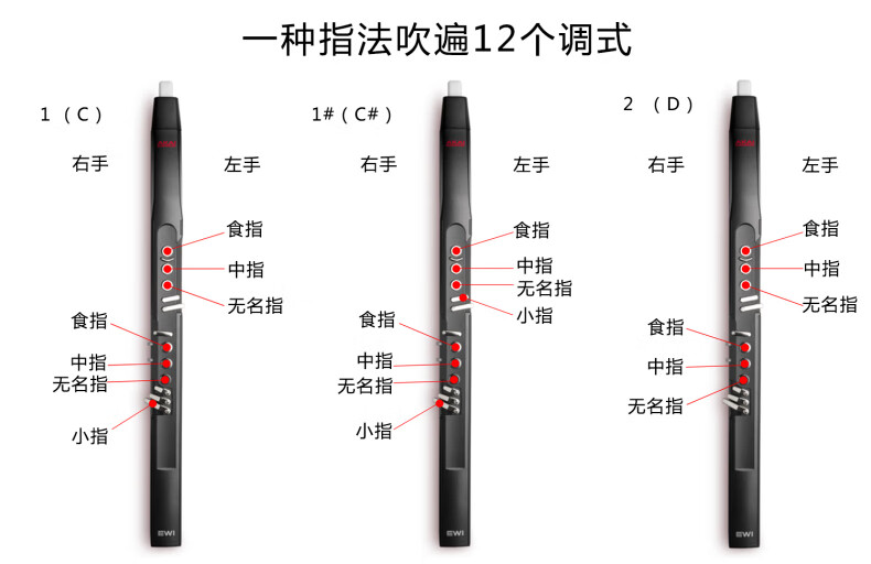 雅佳akai ewi5000 电吹管 (标配)定制款 黑色 ewi 5000