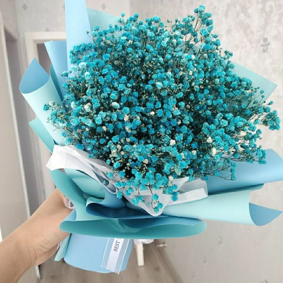 满天星花束干花男女朋友表白情侣浪漫花束生日送朋友送闺蜜礼物蓝色